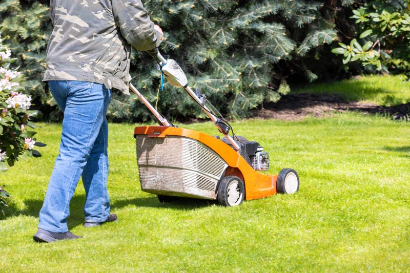 Timely Lawn Care