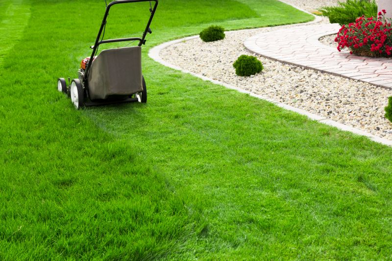 Preventative Lawn Maintenance