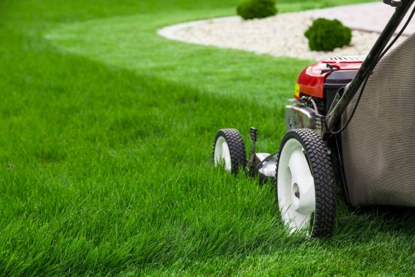 Weekly Lawn Mowing Service
